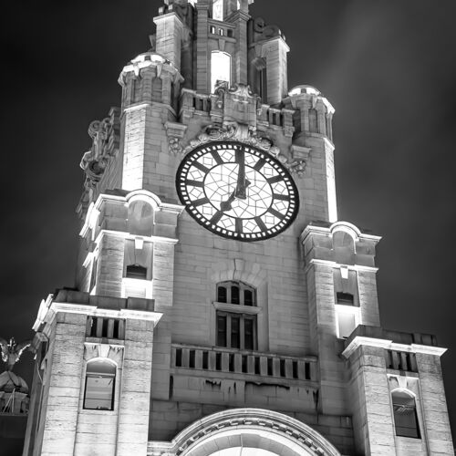 The Liver Bird